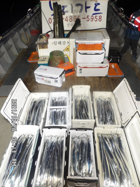 2021. 10. 25. ★ 젊은선장 "심선장" [보디가드호] 왕갈치 조황입니다