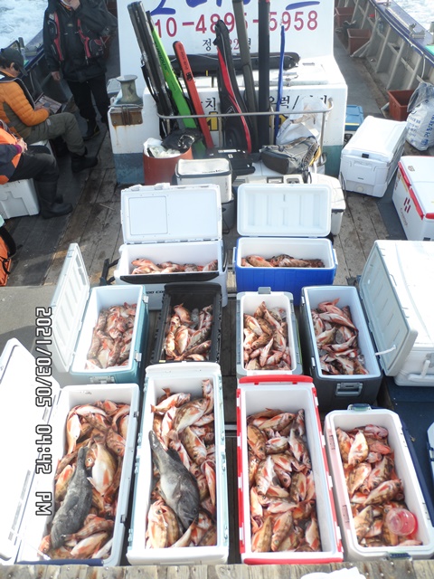 2021. 03. 05. ★ 젊은선장 "심선장" [보디가드호] 왕우럭 조황입니다.