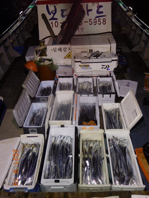 2021. 09. 18. ★젊은선장 "심선장" [보디가드호] 왕갈치 조황입니다