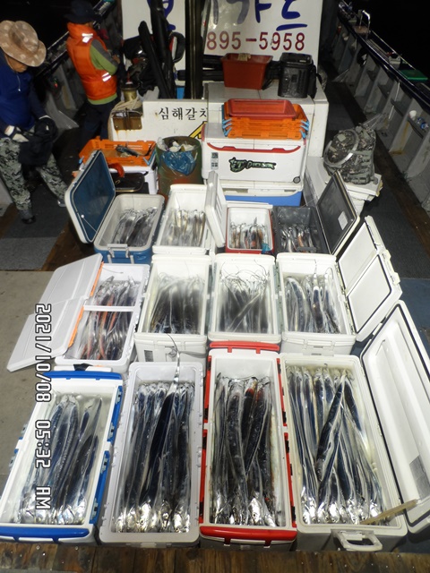 2021. 10. 07 ★ 젊은선장 "심선장" [보디가드호] 왕갈치 조황입니다