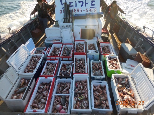 2022. 02. 27. ★ 젊은선장 "심선장" [보디가드호] 왕우럭+ 왕열기 조황입니다.