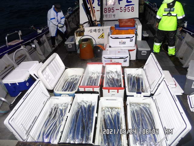 2021. 09. 23. ★젊은선장 "심선장" [보디가드호] 왕갈치 조황입니다