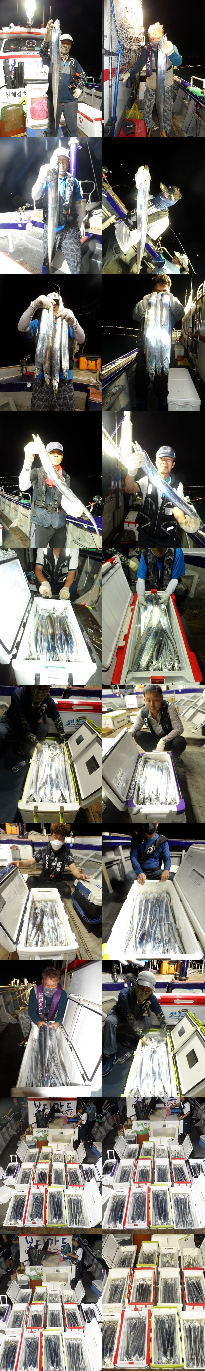 2021. 08. 07 ★젊은선장 "심선장" [보디가드호] 왕갈치 조황입니다