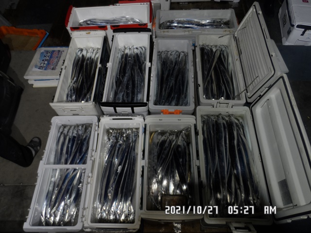 2021. 10. 26. ★ 젊은선장 "심선장" [보디가드호] 왕갈치 조황입니다