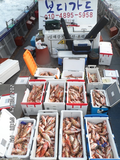 2021. 02. 24. ★ 젊은선장 "심선장" [보디가드호] 왕우럭 조황입니다.