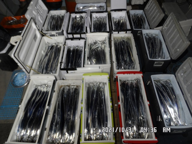 2021. 10. 30. ★ 젊은선장 "심선장" [보디가드호] 왕갈치 조황입니다