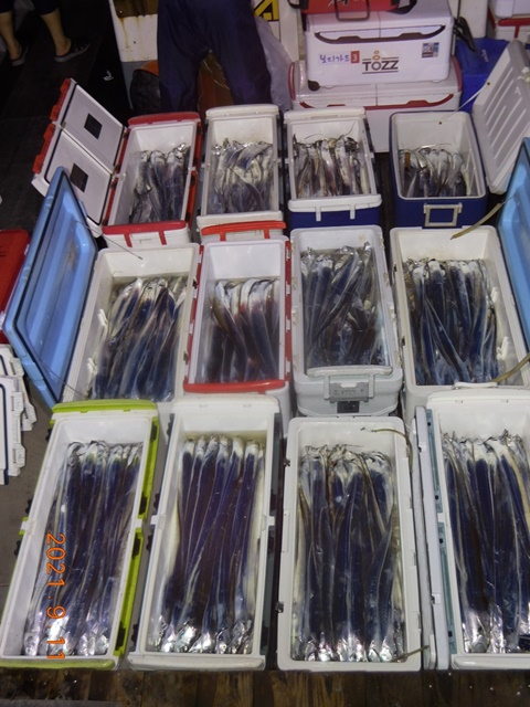 2021. 09. 10. ★젊은선장 "심선장" [보디가드호] 왕갈치 조황입니다