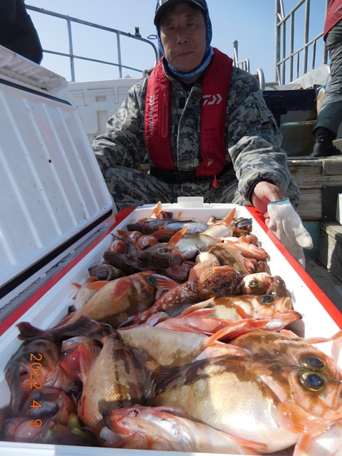 2022. 04. 09. ★ 젊은선장 "심선장" [보디가드호] 왕우럭+ 왕열기 조황입니다.