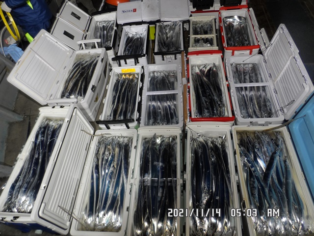 2021. 11. 13. ★ 젊은선장 "심선장" [보디가드호] 왕갈치 조황입니다