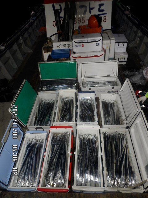 2021. 11. 02. ★ 젊은선장 "심선장" [보디가드호] 왕갈치 조황입니다