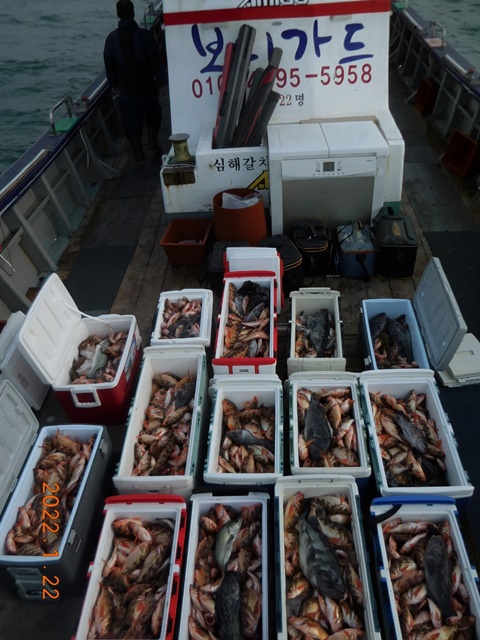 2022. 01. 22. ★ 젊은선장 "심선장" [보디가드호] 왕우럭+ 왕열기 조황입니다.