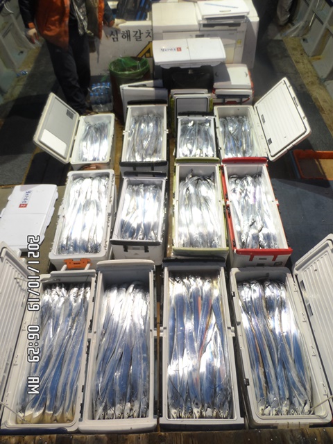 2021. 10. 18. ★ 젊은선장 "심선장" [보디가드호] 왕갈치 조황입니다