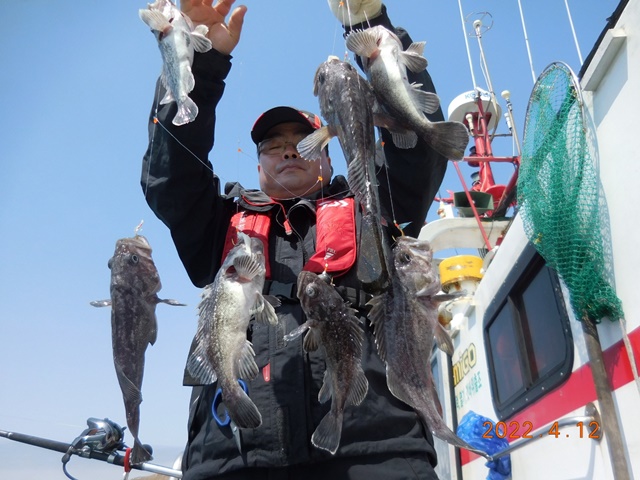 2022. 04. 12. ★ 젊은선장 "심선장" [보디가드호] 왕우럭+ 왕열기 조황입니다.