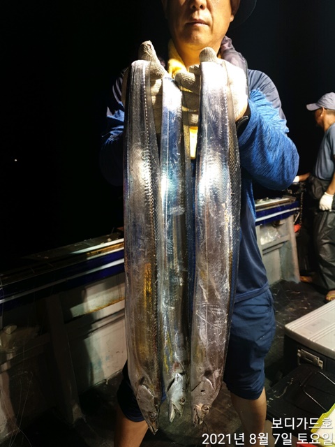 2021. 08. 06 ★젊은선장 "심선장" [보디가드호] 왕갈치 조황입니다