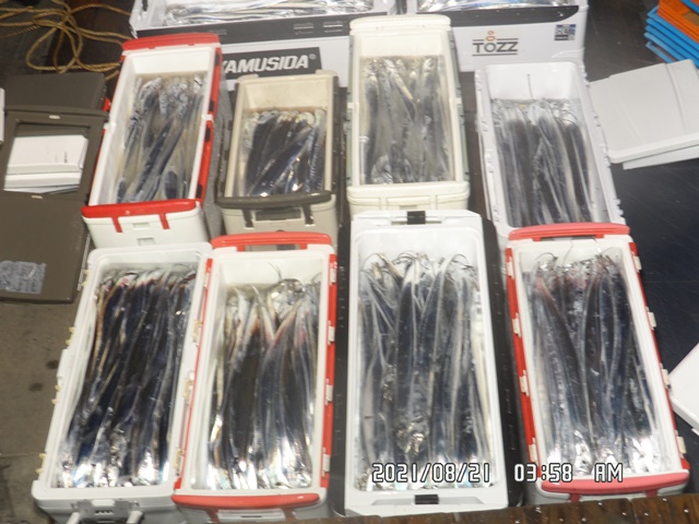 2021. 08. 20 ★젊은선장 "심선장" [보디가드호] 왕갈치 조황입니다