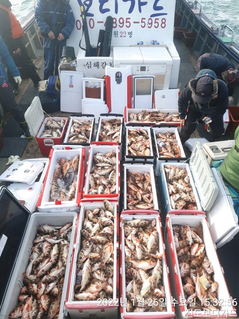 2022. 01. 26. ★ 젊은선장 "심선장" [보디가드호] 왕우럭+ 왕열기 조황입니다.