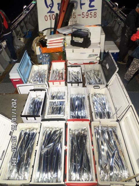 2021. 10. 14. ★ 젊은선장 "심선장" [보디가드호] 왕갈치 조황입니다