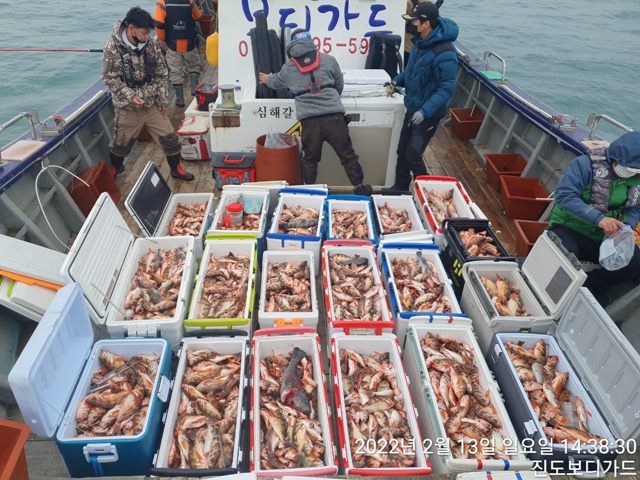 2022. 02. 13. ★ 젊은선장 "심선장" [보디가드호] 왕우럭+ 왕열기 조황입니다.