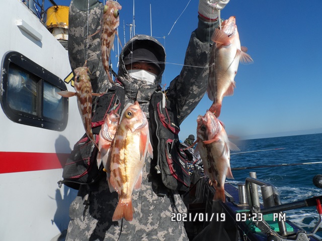 2021. 01. 19. ★ 젊은선장 "심선장" [보디가드호] 왕우럭 조황입니다.