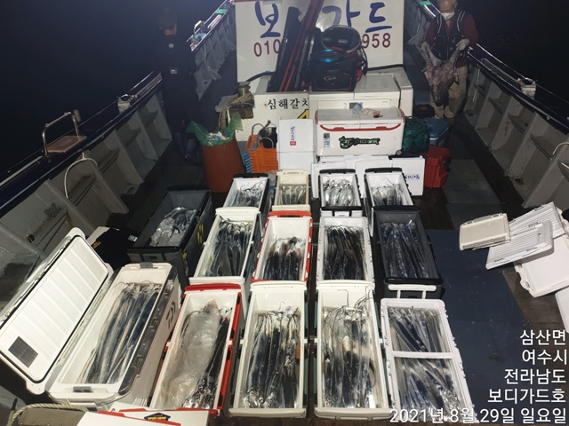 2021. 08. 28. ★젊은선장 "심선장" [보디가드호] 왕갈치 조황입니다
