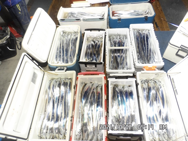 2021. 10. 01. ★젊은선장 "심선장" [보디가드호] 왕갈치 조황입니다