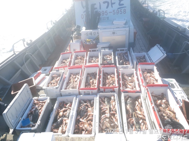 2022. 01. 31. ★ 젊은선장 "심선장" [보디가드호] 왕우럭+ 왕열기 조황입니다.