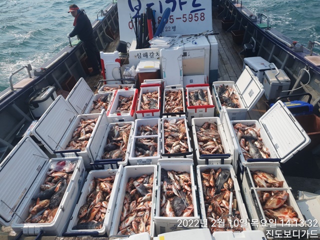 2022. 02. 10. ★ 젊은선장 "심선장" [보디가드호] 왕우럭+ 왕열기 조황입니다.