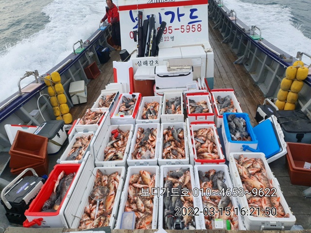 2022. 03. 15. ★ 젊은선장 "심선장" [보디가드호] 왕우럭+ 왕열기 조황입니다.