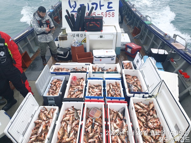 2022. 01. 24. ★ 젊은선장 "심선장" [보디가드호] 왕우럭+ 왕열기 조황입니다.