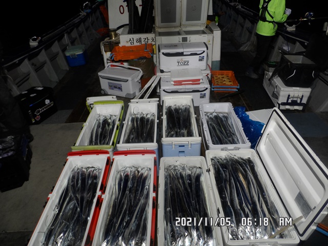 2021. 11. 04. ★ 젊은선장 "심선장" [보디가드호] 왕갈치 조황입니다