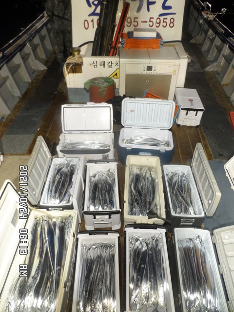 2021. 10. 21. ★ 젊은선장 "심선장" [보디가드호] 왕갈치 조황입니다