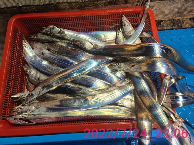 젊은선장 "심선장" [보디가드2호 ] 왕갈치 조업 조황 <왕갈치 사전 예약 받습니다. /자리여유 >>