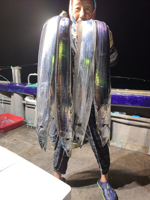 2022. 08. 22 ★ [대물을 잡는 사람들 낚시 1번지] 진도 보디가드호 "심선장" 왕갈치 조황입니다