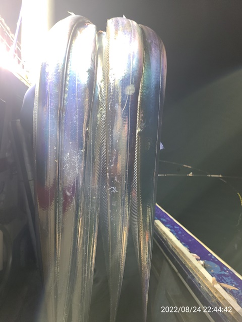 2022. 08.24 ★ [대물을 잡는 사람들 선상낚시1번지 ]   < 3지이상으로 전원 쿨러 가득>