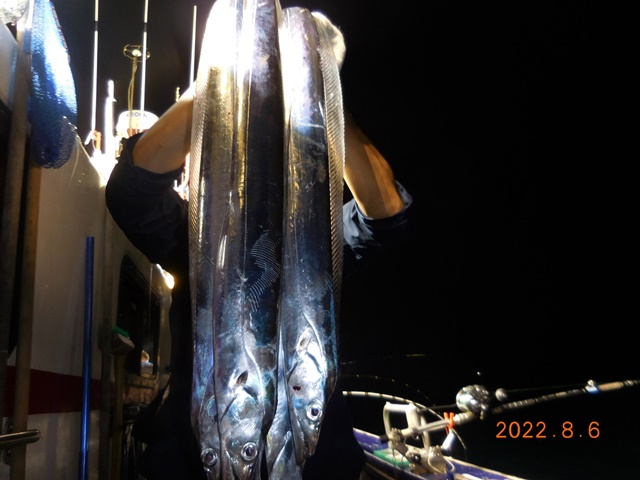 2022. 08. 05 ★ 젊은선장 "심선장" 왕갈치 조황입니다. << 8/6(토) 1자리여유 있습니다. >