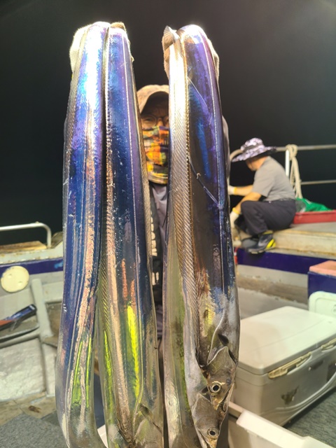 2022. 08. 18 ★젊은선장 "심선장" <진도권> 왕갈치 조황 <<자리여유 있습니다. >>