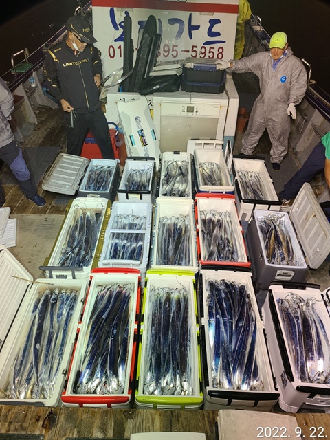 [대물을 잡는사람들 선상낚시 1번지] "심선장" ==>> 왕갈치 조황입니다.