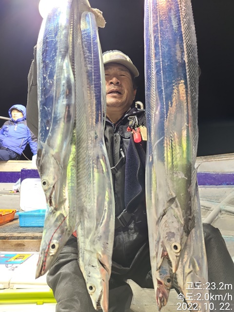 [대물을 잡는 사람들 선상낚시1번지] 진도권 왕갈치 조황 << 자리여유 많이 있습니다. >>