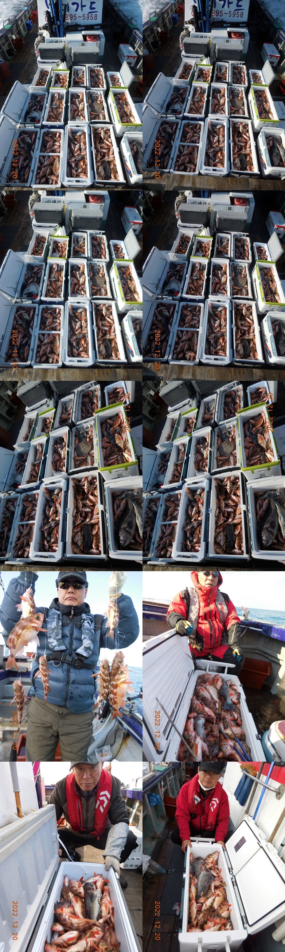 태도/만재도/홍도/가거도==>> 왕엻기 조황 << 쿨러 가득 입항 하였습니다 >>