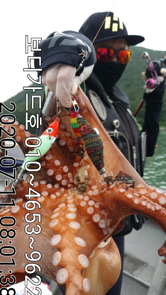 20. 7. 11 ★ 돌문어 조황 :)