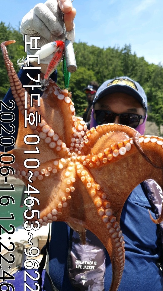 20. 6. 16 ★ 돌문어 조황 :)