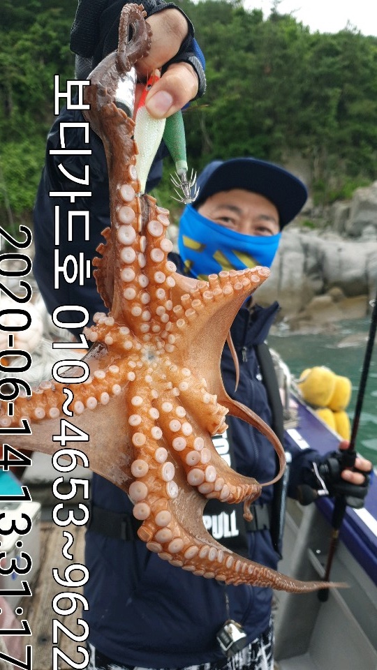 20. 6. 14 ★ 돌문어 조황 :)