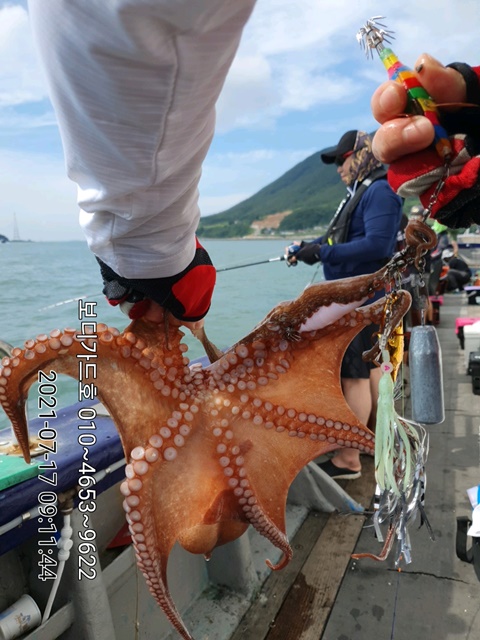 21. 7. 17 ★ 돌문어 조황 :)