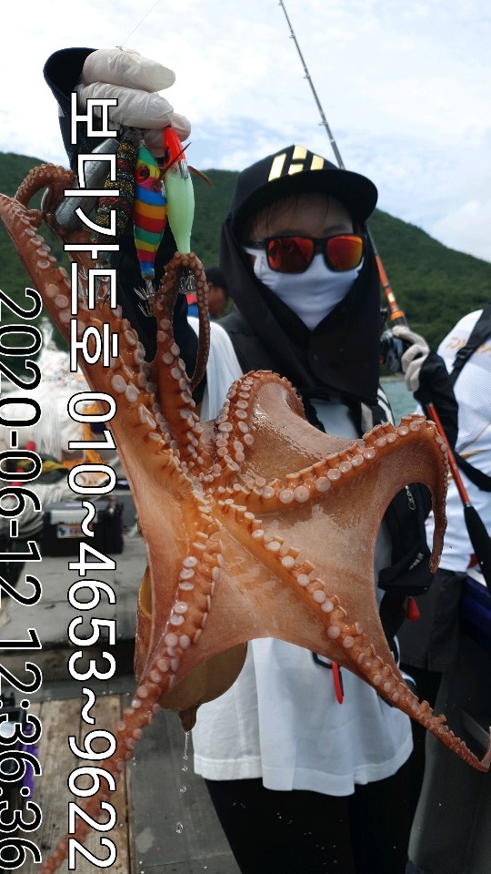 20.6. 12 ★ 돌문어 조황입니다.