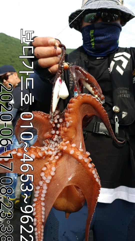 20. 6. 17 ★ 돌문어 조황 :)