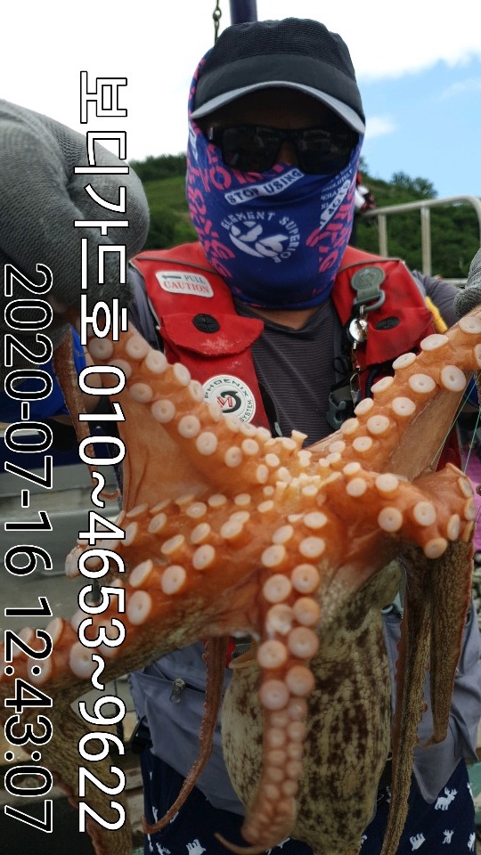 20. 7. 16 ★ 돌문어 조황 :)