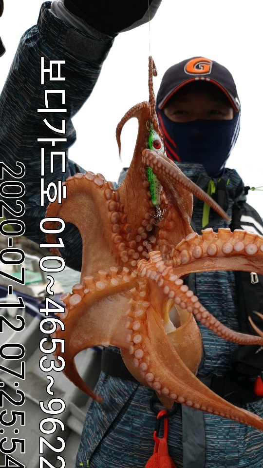 20. 7. 12 ★ 돌문어 조황 :)