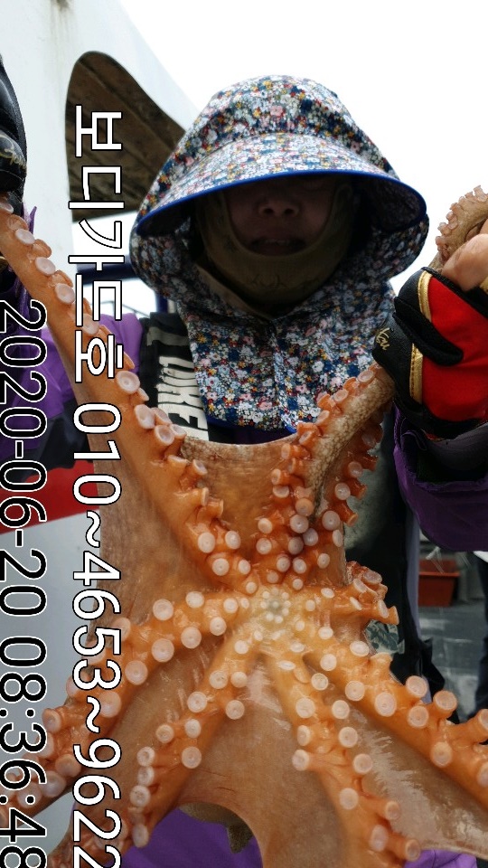 20.6. 20 ★ 돌문어 조황:)