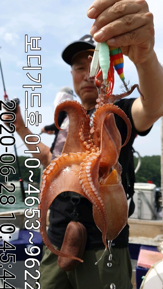 20. 6. 28 ★ 돌문어 조황 :)