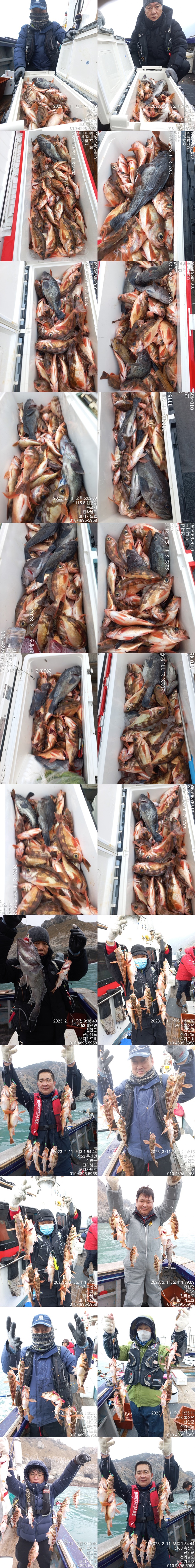 23. 2. 11 ★ #진도보가드호 "심선장" 왕열기+왕우럭 조황 <<자리여유 >>